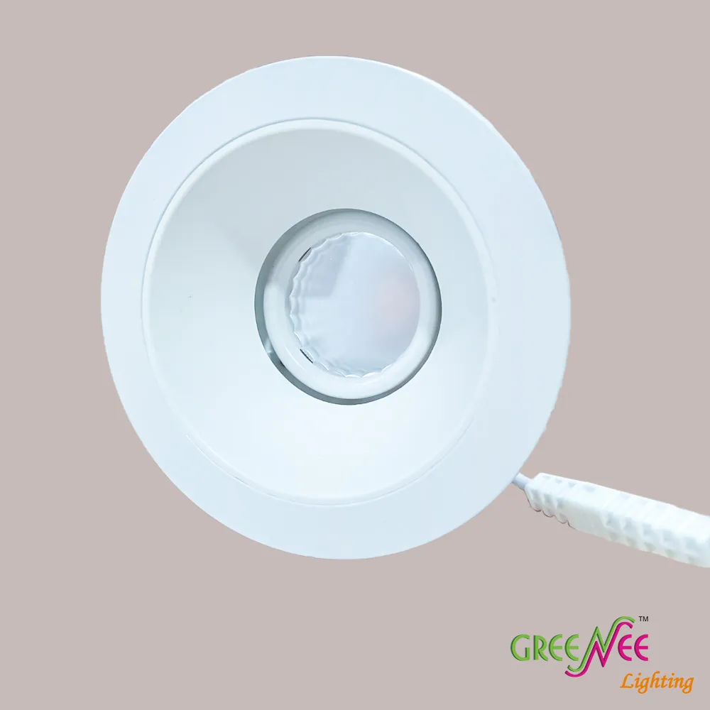 LED DOWN LIGHT 12W 3000K RD COB REC IP21